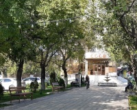 Лесопарковые пояса занесут в госреестр недвижимости