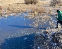 Источником аммиака в водопроводе уральского города оказался мясокомбинат