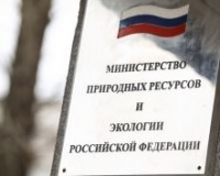 Минприроды утвердили ставки платы за использование лесов на период 2024-2026
